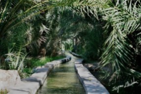 Falaj in Hilli Oasis Al Ain - UAE