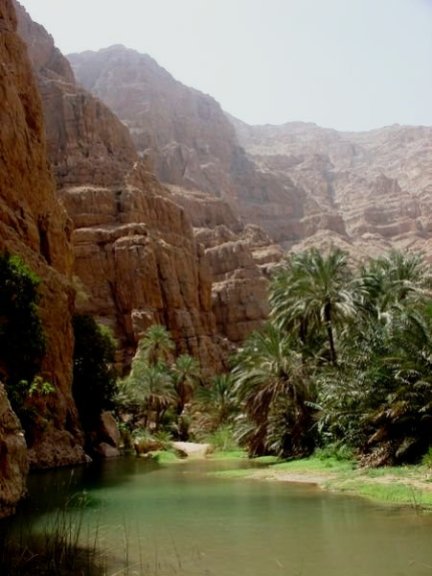 Oasis next to a Wadi in Oman