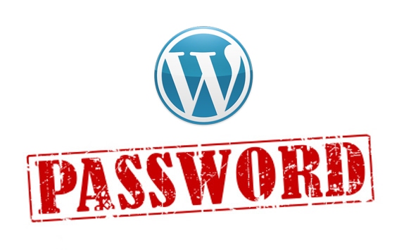 Wordpress Password